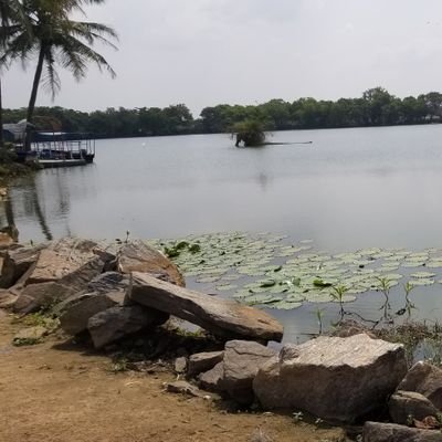 libraqueen111's profile picture. His queen, mum. nature lovers. I value my peace than people opinion