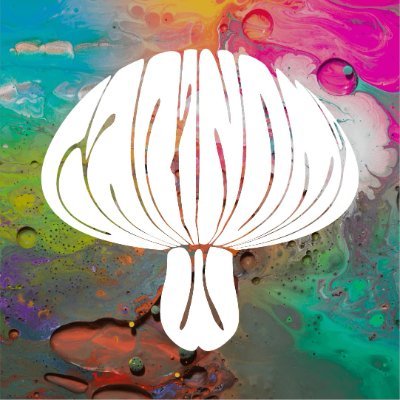 Garinomi_Art's profile picture. Psychedelic art
🧑‍🎨 Tie dye / tufting
🇨🇴 Hand Made in Colombia