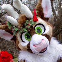 Smallest Bou (@blitzen_bou) 's Twitter Profile Photo Smallest Bou (@blitzen_bou) 's Twitter Profile Photo