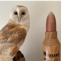 guido (@fromantwerp) 's Twitter Profile