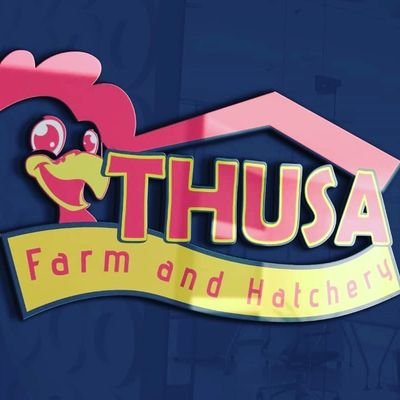 FarmThusa's profile picture. Thusa farm is base in manicaland   Farming of small live stock such as Roadrunner, qauils Turkey,  broilers, boer goats ( TRUTH BUILDS TRUST,