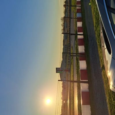 myyos_'s profile picture. 