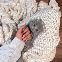 Mais (@mmaays14) Twitter profile photo