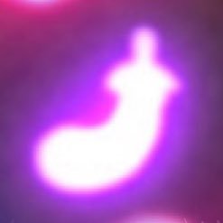 べいるりさんのプロフィール画像