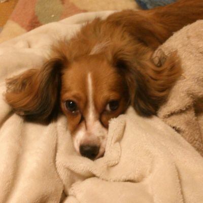 QNpQFjYcECoRnBm's profile picture. 