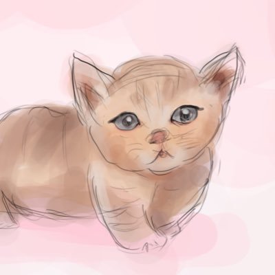 聖子さんのプロフィール画像