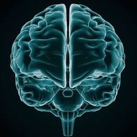 TIL (@pmutembei37) 's Twitter Profile