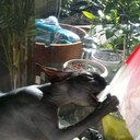 Scott Agius - @sragius - Twitter