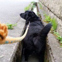 オンドウ・マサミ (@o2xnfbh3silbeic) 's Twitter Profile