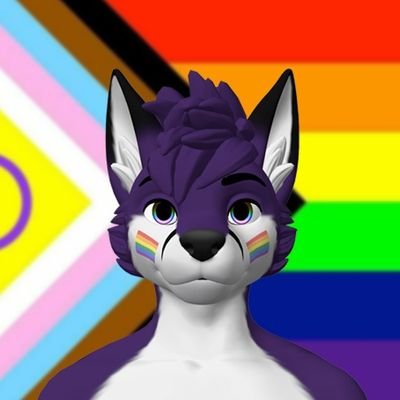 FelixTheGayFox Profile Picture