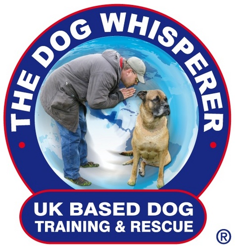DogWhispererUK's profile picture. The best Dog Trainer you will know! 
The ACTUAL science behind Animal Behaviour.