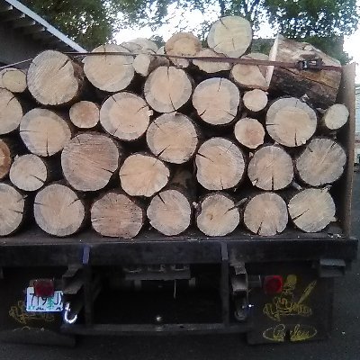 Selling firewood to locals in Douglas county