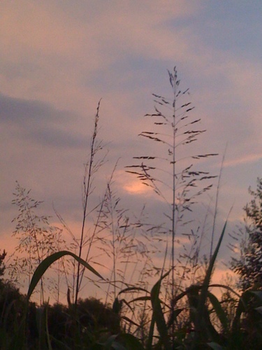 Observations from Gratitude Park and beyond. The abundance of my gratitude demanded a park to hold it...