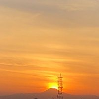 theopinionmk (@theopinionmk) 's Twitter Profile Photo