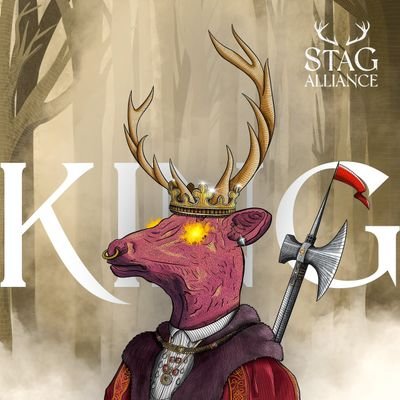 RBnew289's profile picture. YD3DD5VX