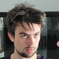 Perle (@grebelrep) 's Twitter Profile