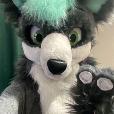 ryderthefolf ryderthefolfsky vicderps kovobm342 scar.sparkyandfnaf neozekwolfyuwu mintycoco hazzard227 lucky_the_fosky rancidbean tailspinyeena fictionboi