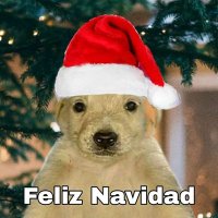 maxwild88 (@maxwild88) 's Twitter Profile