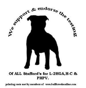 The online forum for all  bullbreed and canine enthusiasts