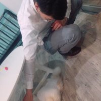 ま (@k_sml1) 's Twitter Profile