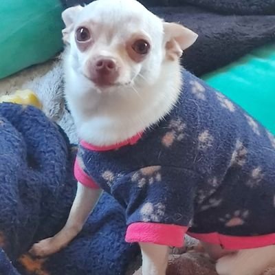 710Bobby's profile picture. 