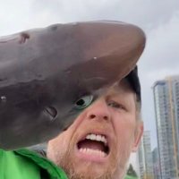 Dennis Wilkinson (@dennisarve) 's Twitter Profile Photo