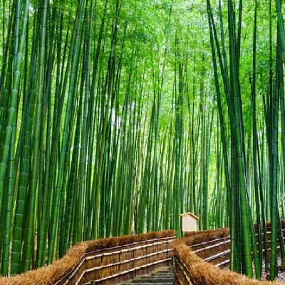 40代女性⭐懸賞やＣＰ応募、ぼちぼち、楽しんでいます。趣味❤️読書、音楽、美容、お酒です。当選報告🥰実施中💯💯💯