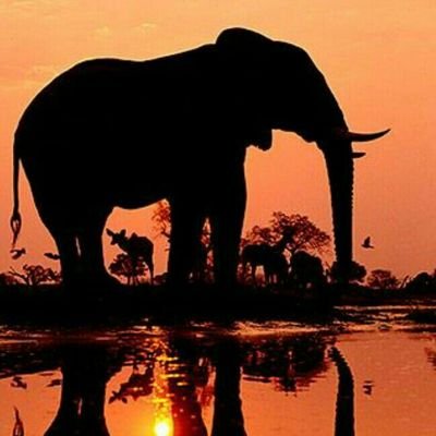 SareptaTz's profile picture. Quality wooden frame pictures🖼, Hazivunjiki wala kuloana☔, Customize your order on whatssap 0743717072