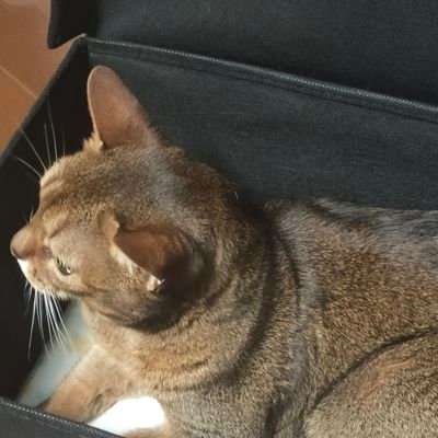 T_YUITO160718's profile picture. 04 白鴎大学 経営学部 Nクラス 白鴎祭実行委員 地域部