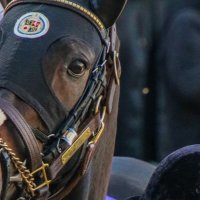 有崎なるめ (@39qdc2hh2bulbfc) 's Twitter Profile