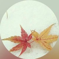 水埜 楓雪 (@kuroneko_maples) 's Twitter Profile