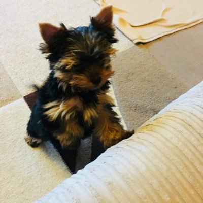 Neil_7_'s profile picture. 