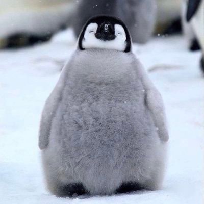 ERQlQDJthp4ZjGj's profile picture. #裏垢男子