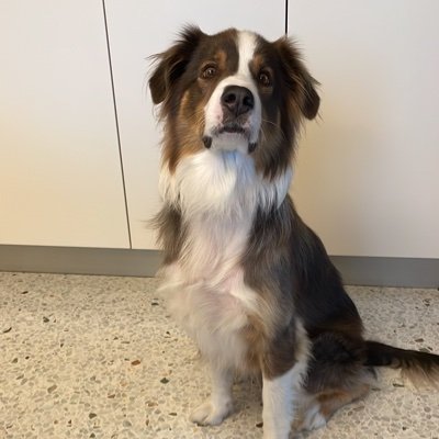 aldubaxrp84's profile picture. 🇮🇹🇳🇬💣🚀🔮🌗