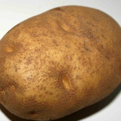 ifZaw4pbTjRiFxa's profile picture. 