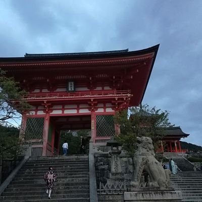 daimarururu103's profile picture. 
