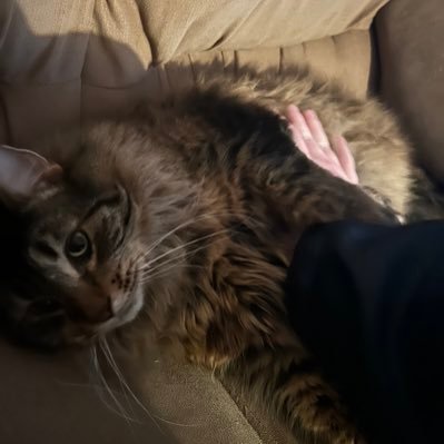 I am a New Youtube Channel. I have a cat and tha- thats about it right now... his name is sky he likes being cradeled. Watch me be dumb on Youtube