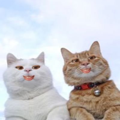 Chu•Chu รสออริจินอลさんのプロフィール画像