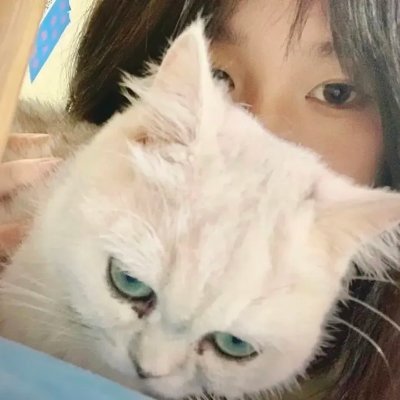 Ninfa29147097's profile picture. ou can see all the anime PVs through our app while voicing your support to the anime studios!