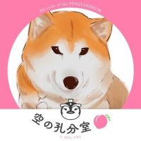 ゴムマリ😯(@shiba_kawa10) 's Twitter Profile Photo