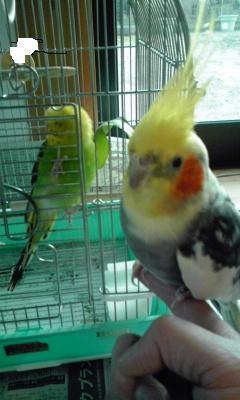 Lady_2721's profile picture. サマンサのような魔女になることが夢。