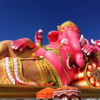 ガネーシャ🐘tou卒 (@ganesha_tou) Twitter profile photo
