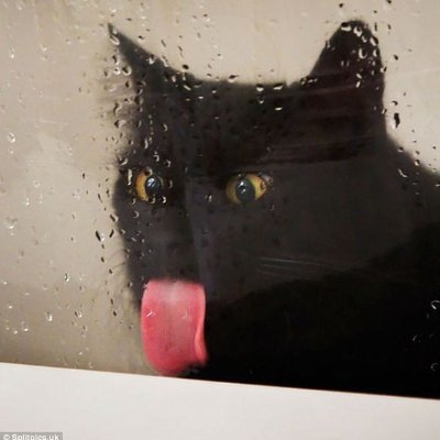 recursivespider's profile picture. 31, she/her, communist, trade unionist, continual irritant