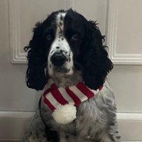 Scott Page (@scottdave84) 's Twitter Profile