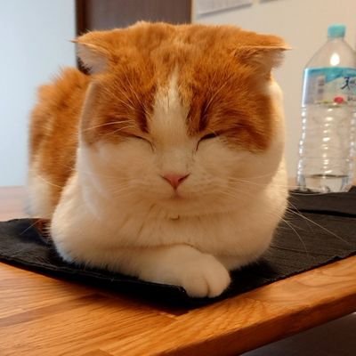 sidecar075's profile picture. 2025年は WIN5で帯狙います👑　　

社台　キャロット  ノルマンディー  会員🏇