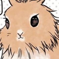 coco_うさぎらいおん (@coolsan10) 's Twitter Profile