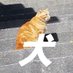 れ (@rev_okudake) Twitter profile photo れ (@rev_okudake) Twitter profile photo