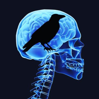 zacks_crow's profile picture. Creative Vessel