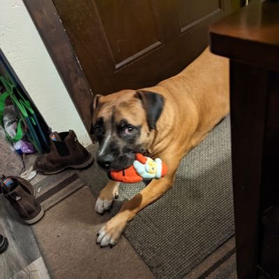 Jaegersdad Profile Picture