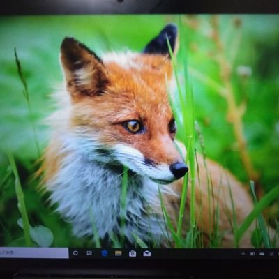 世の中の、いろんな方々を問答無用で、応援…更に陰ながらに援護したいな😻🤩 そして…密かに絵を描いている。素敵なファンの方達! ありがとう…心より、感謝😻🥹